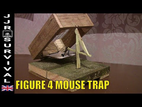 Figure 4 Mouse Trap
