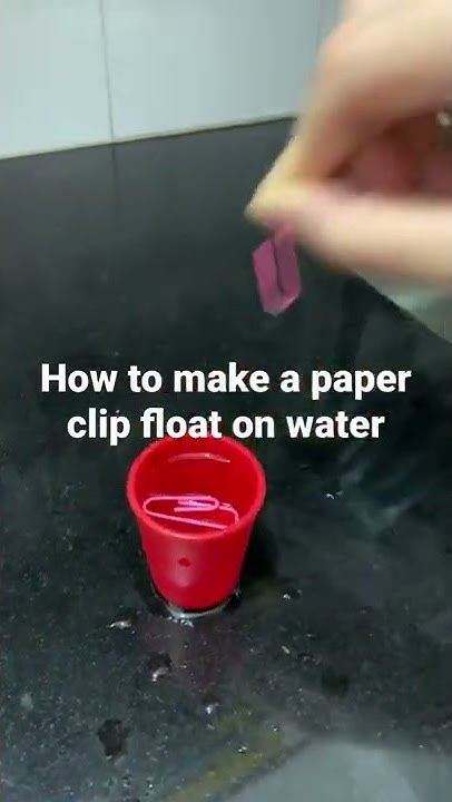 How Do You Make A Paperclip Float How to make a paper clip float on water - YouTube