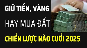 Giữ tiền, mua vàng hay đất? Giải mã chiến lược tài chính sinh lời cuối 2025