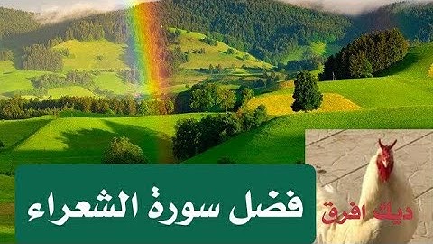 فضل سورة الشعراء الجنه..الشفاء من جميع الادواء..السحر..ايجاد الكنوز
