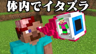 友達の体内に入ってイタズラしてみたw【まいくら・マインクラフト】