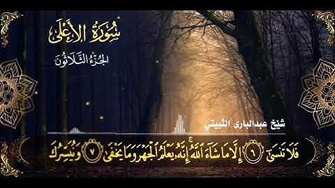 سورة الاعلی عبدالباري الثبيتي