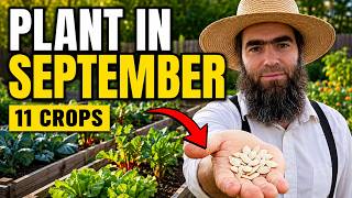 11 Crops You'll Hate Not Planting in September! (Thrive Late Summer into Fall & Winter)