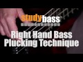 Plucking: Right Hand Bass Technique | StudyBass