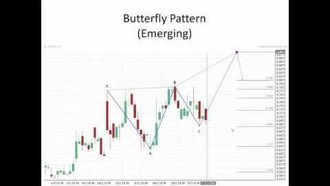 Introduction to Fibonacci Patterns