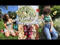 what i eat in a day VEGAN! easy, cheap meals as a vegan college student!