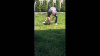 Adorable Baby Girl Does The Splits