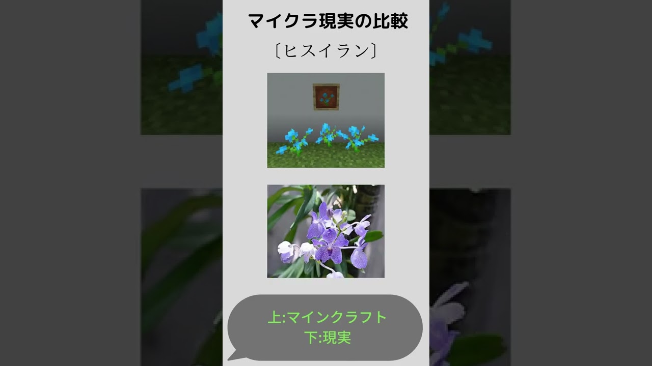 マイクラ 現実の比較 マイクラ Minecraft 動画まとめ