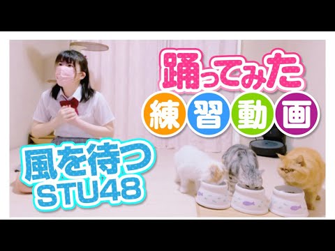 STU48【風を待つ】踊ってみた練習動画　もも