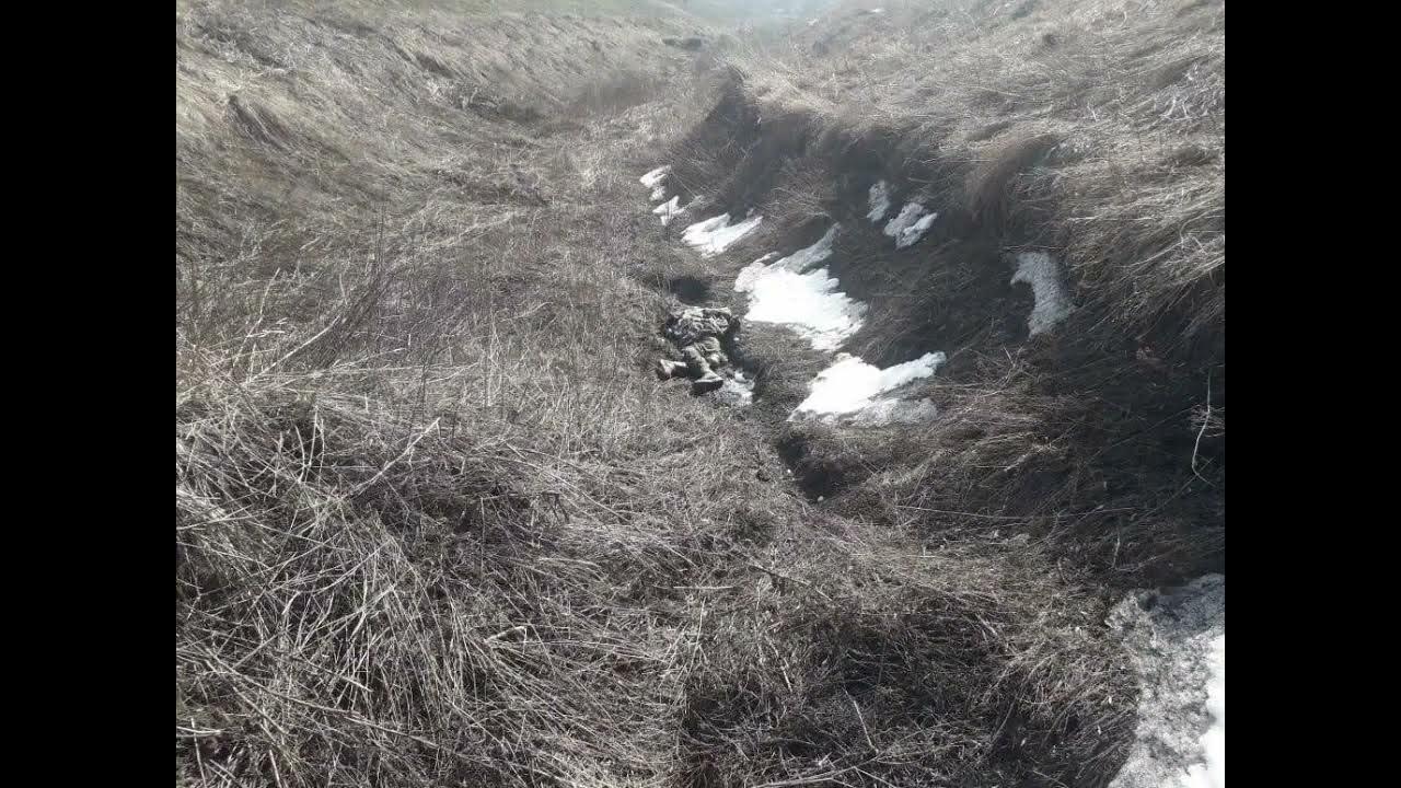 Горы трупов всу фото