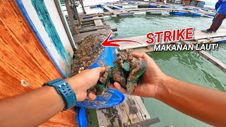 WAJIB BUAT PERKARA Ini Jika Datang Kelong..