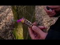 ВЗОРВАЛ ТОП ВЕЩИ ПЕТАРДАМИ }{ ВЗРЫВ МОЩНЫХ ПЕТАРД / ТЕСТ ПЕТАРД / МОЯ ПИРОТЕХНИКА! ВЛОГ / БЛОГ
