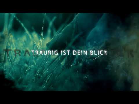 Alexander Braun — alex braun - eiskalt (official lyric video)