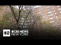 4 people found dead in Bronx NYCHA building