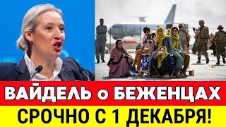 АЛИС ВАЙДЕЛЬ НОВЫЕ ПРОБЛЕМЫ С БЕЖЕНЦАМИ В ГЕРМАНИИ И МИГРАНТАМИ! СРОЧНЫЕ НОВОСТИ - ГЕРМАНИЯ СЕГОДНЯ