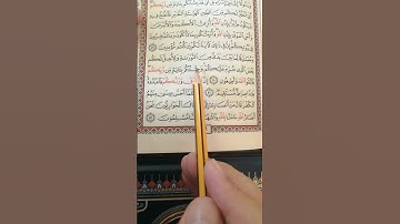 تعليم سورة آل عمران من آية 50 إلى آية 52