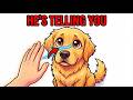 If Your Dog Stares at You Like This… They’re Trying to Tell You Something Serious #dogs #dogsemotion