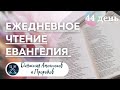 ЕЖЕДНЕВНОЕ ЧТЕНИЕ ЕВАНГЕЛИЯ / Евангелие от Иоанна 8-11; Псалом 117