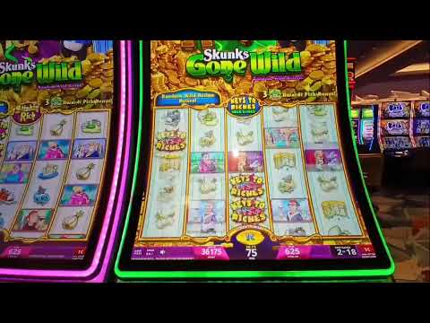Casino Arizona Trying My Best To Win On Buffalo Free Spins