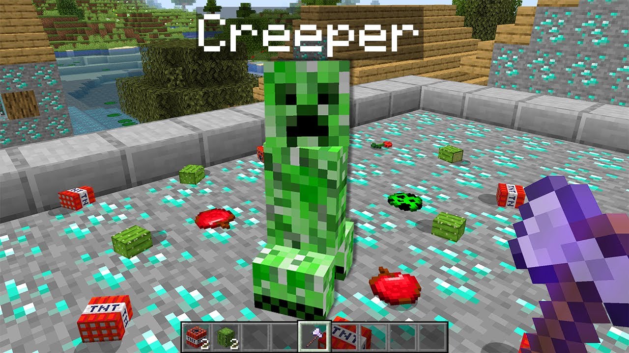 DON'T BE FRIENDS WITH A CREEPER IN MINECRAFT TO BE CONTINUED - YouTube