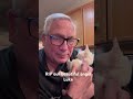RIP Luke our beautiful angel #catsofyoutube #disabledcat #petgrief #bastet #handicappedpets #catlove
