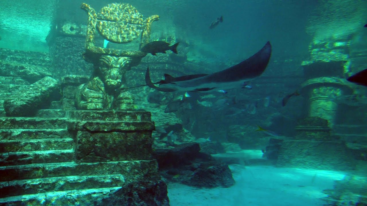 Atlantis Doku Atlantis Doku