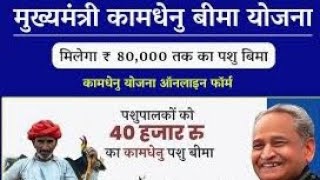 कामधेनु पशु बीमा योजना 2023 | पशुपालको को रूपये 80000 मिलेंगे | Rajasthan Kamdhenu Pashu Bima Yojana