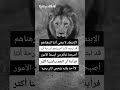 ستوريات اجمل حلات وتساب و انستا حلات حب وفراق