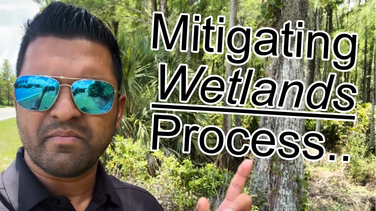 How to Mitigate Wetlands in SouthWest Florida
