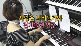 사랑은 나비인가봐 전자올겐 연주 월드전자올겐 음악학원 (구로구 개봉역, 고양시 능곡역) 010-8164-7458