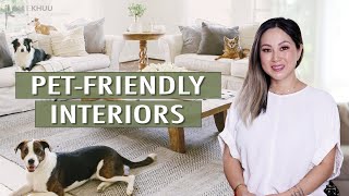Designing The Perfect Pet-friendly Home (Must-know tips!)