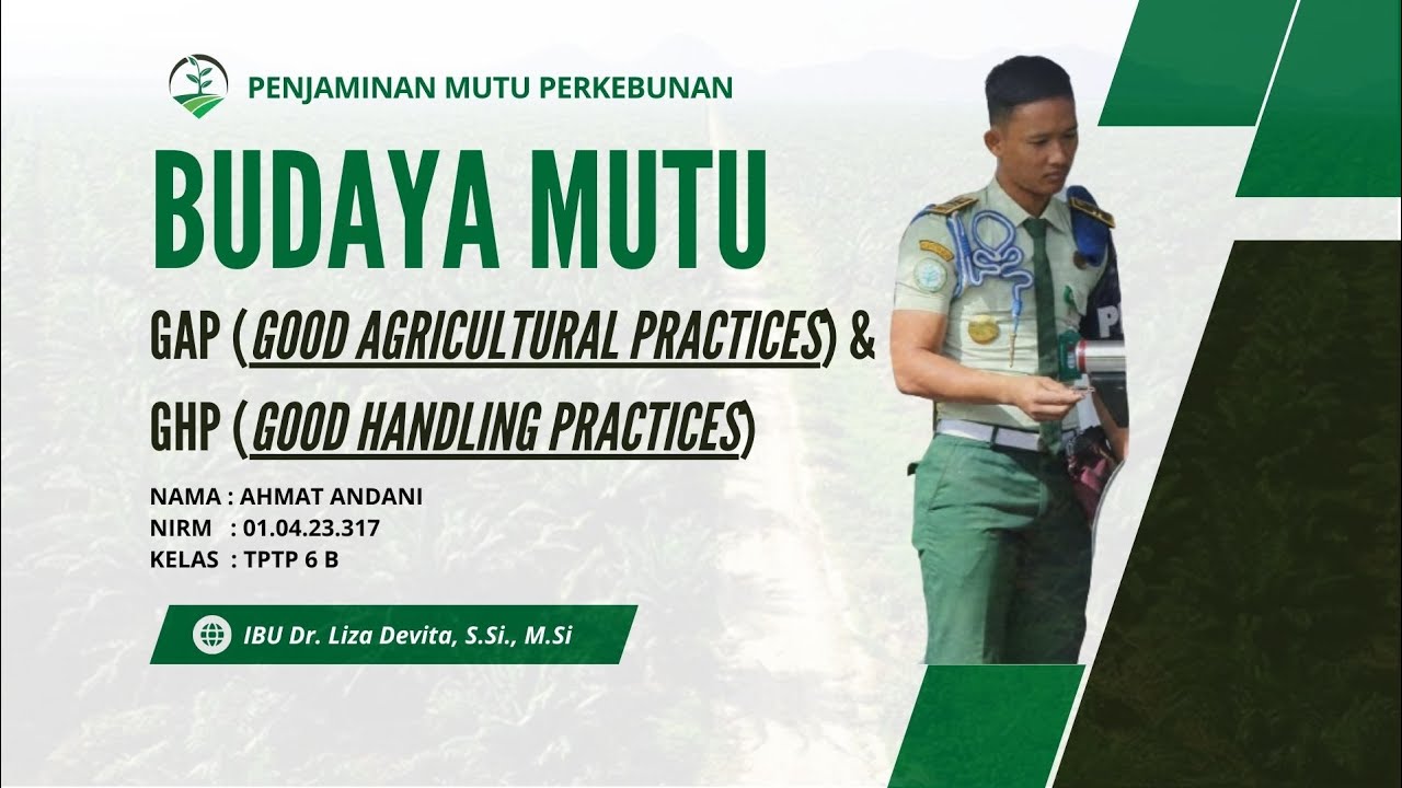 Penerapan Budaya Mutu GAP dan GHP di Perkebunan Kelapa Sawit #polbangtan#polbangtanmedan