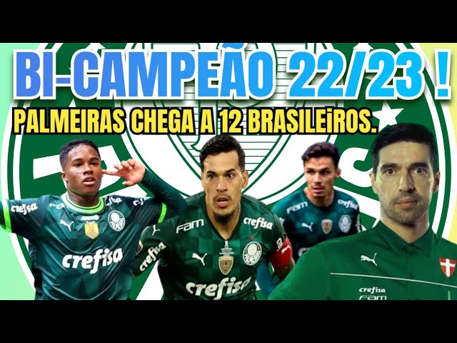 Único invicto no Brasileiro, Palmeiras empata com Santos na Vila Belmiro e  amplia série sem derrotas em clássicos – Palmeiras