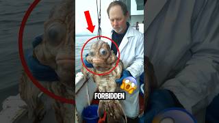 Bizarre Phenomena That Actually Happened