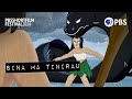 Sina and Tinirau's Story Elements