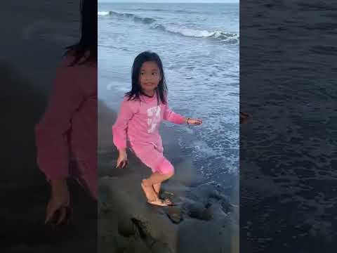 Video: Adakah ikan duyung bertelur?