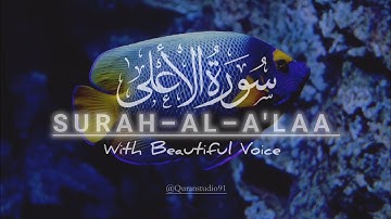 Surah Al A'laa With Beautiful Voice || سورة الأعلى || Surat Al A'la || Chapter 87 || @Quranstudio91