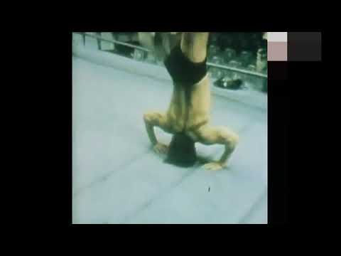 アントニオ猪木のリターンブリッジ