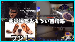 らっだぁ Youtube