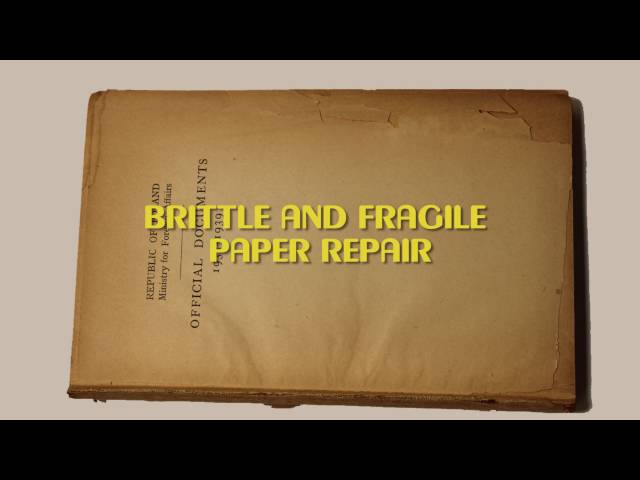 Using Archival Tissue Paper for Preservation and Storage 