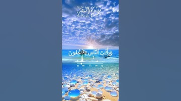 سورة النصر #القران_الكريم #راحة_نفسية #اكسبلور
