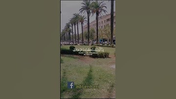 تلاوة خاشعة لشيخ #سعد_الغامدي #اكسبلور #دويتو #automobile #duet #القرآن_الكريم