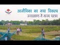Fisheries in Uttarakhand