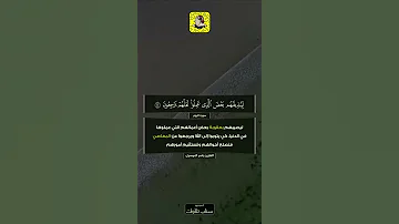 آية ظهر الفساد في البر و البحر بما كسبت ايدي الناس تلآوة رائعة للشيخ ياسر الدوسري 