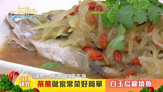 20210506#44 茶葉做家常菜好簡單~白玉烏龍燒魚【大嫂研究所】X名廚雷議宗|FORA福爾額溫槍