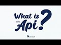 What is an API? Connections and principles explained