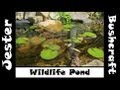 Our Wildlife Pond Mystery - Please Help Us Solve It