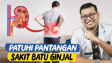 PANTANGAN MAKANAN DAN KEBIASAAN SAKIT BATU GINJAL - DOKTER SADDAM ISMAIL