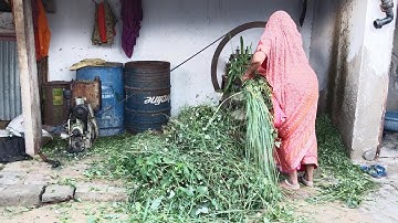 Grass Cutting#grasscuttingmachine#grass #cutting#grasscutting#machine #tractor #tractorvideo