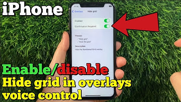How to enable or disable hide grid in overlays voice control on iPhone X